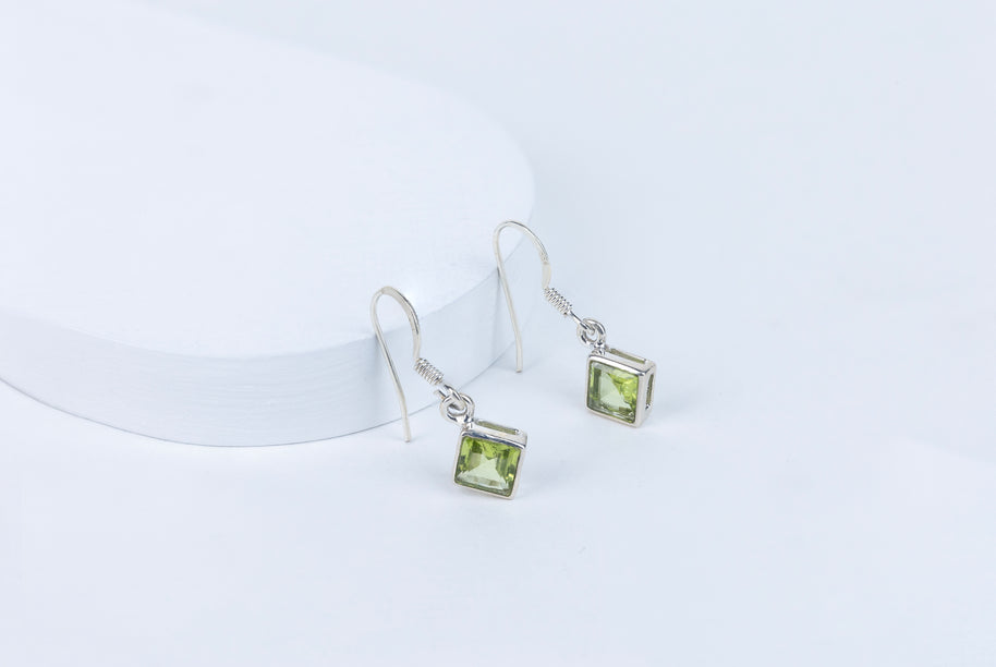 Perivolve Earrings in 92.5 Sterling Silver