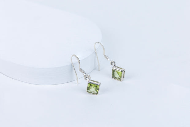 Perivolve Earrings in 92.5 Sterling Silver