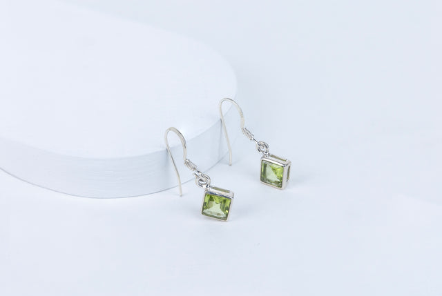 Perivolve Earrings in 92.5 Sterling Silver