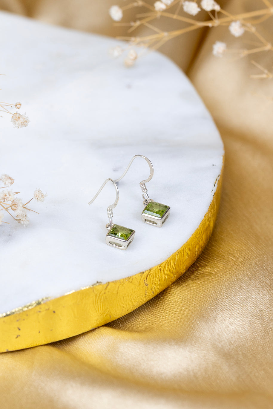 Perivolve Earrings in 92.5 Sterling Silver