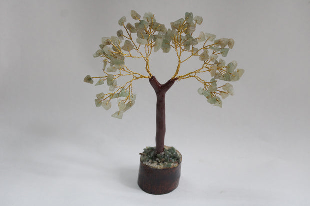 Green Aventurne